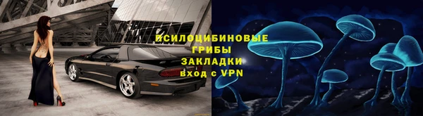 гидра Алексин