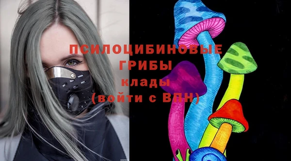 гидра Алексин