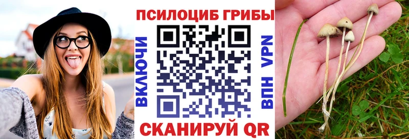 гидра tor  Морозовск  Псилоцибиновые грибы MAGIC MUSHROOMS 