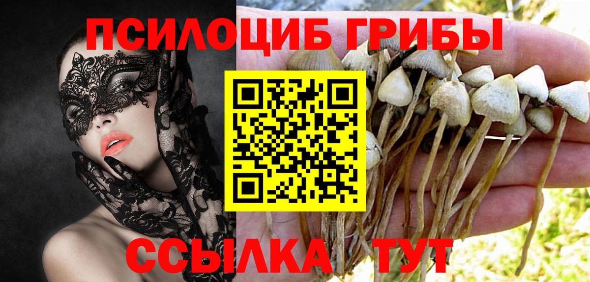 Галлюциногенные грибы GOLDEN TEACHER  Вход с VPN  Морозовск  Псилоцибиновые грибы мицелий 